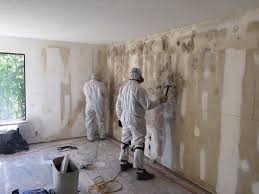 Professional Mold Prevention & Removal  in North Eagle Butte, SD